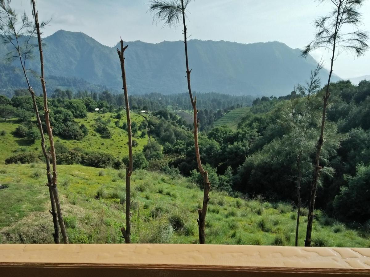 Lava View Lodge Bromo Dış mekan fotoğraf